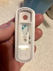 手に持った猫用エイズ・白血病検査キット。判定窓に陽性を示す青いドットが見える