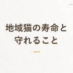 「地域猫の寿命と守れること」の文字が入った記事アイキャッチ画像（地域猫の寿命に関する解説）