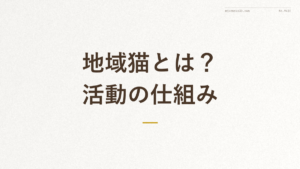 「地域猫とは？活動の仕組み」の文字が入った記事アイキャッチ画像