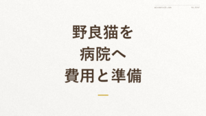 「野良猫を病院へ 費用と準備」の文字が入った記事アイキャッチ画像