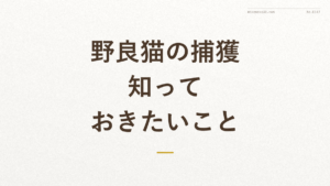「野良猫の捕獲 知っておきたいこと」の文字が入った記事アイキャッチ画像（野良猫の捕獲に関する法律の解説）