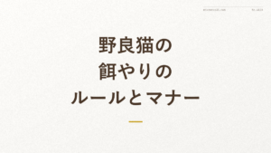 『野良猫の 餌やりのルールとマナー』の文字入りアイキャッチ画像