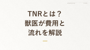 「TNRとは？獣医が費用と流れを解説」の文字が入った記事アイキャッチ画像