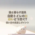 猫と暮らす道具自動トイレのにおいどう防ぐ?使い方の見直しポイント
