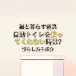 猫と暮らす道具自動トイレを使ってくれない時は?慣らし方を紹介