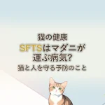 猫の健康SFTSはマダニが運ぶ病気?猫と人を守る予防のこと