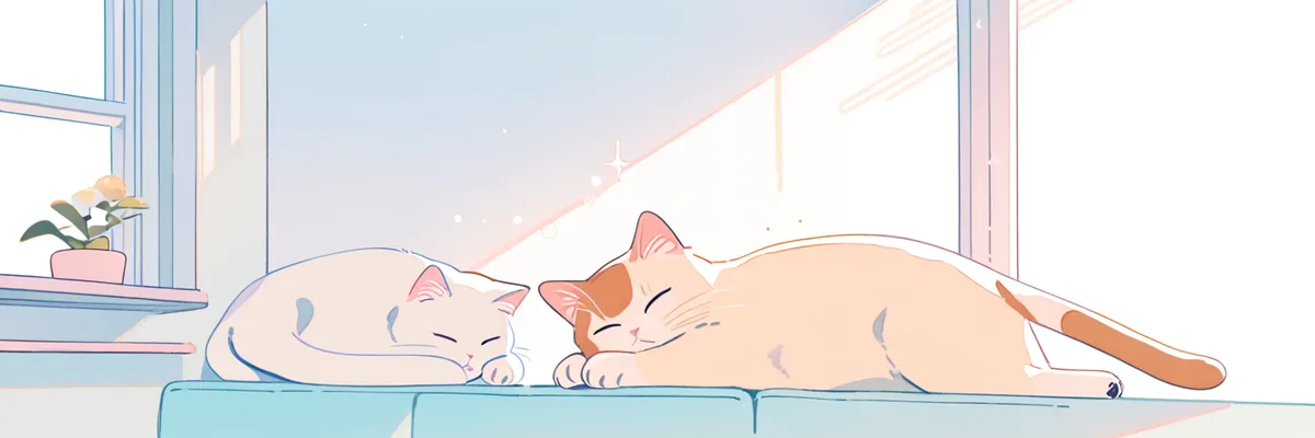 まとめのイメージ