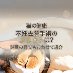 猫の健康不妊去勢手術のメリットは?時期の目安もあわせて紹介