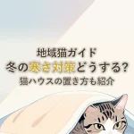 地域猫ガイド冬の寒さ対策どうする?猫ハウスの置き方も紹介
