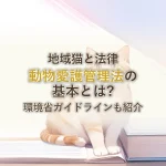 地域猫と法律動物愛護管理法の基本とは?環境省ガイドラインも紹介