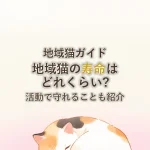 地域猫ガイド地域猫の寿命はどれくらい?活動で守れることも紹介