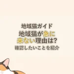 地域猫ガイド地域猫が急に来ない理由は?確認したいことを紹介