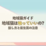地域猫ガイド地域猫は触っていいの?接し方と衛生面の注意