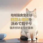 地域猫食堂とは時間と場所を決めて餌やり後片付けまでが基本