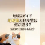 地域猫ガイド地域猫と野良猫は何が違う?活動の仕組みも紹介
