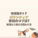 地域猫ガイドボランティア参加のコツは?無理なく続ける関わり方