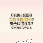 野良猫と捕獲器手作り捕獲器で安全に捕まる?安全面から考える