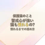 保護猫のこと警戒心が強い猫も慣れるの?慣れるまでの進め方