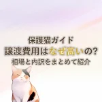 保護猫ガイド譲渡費用はなぜ高いの?相場と内訳をまとめて紹介