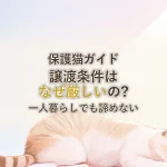 保護猫ガイド譲渡条件はなぜ厳しいの?一人暮らしでも諦めない