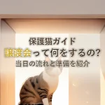 保護猫ガイド譲渡会って何をするの?当日の流れと準備を紹介