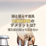 猫と暮らす道具自動給餌器のデメリットは?導入前に知っておきたい