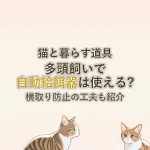 猫と暮らす道具多頭飼いで自動給餌器は使える?横取り防止の工夫も紹介