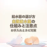 給水器の選び方自動給水器の仕組みと注意点お手入れとカビ対策