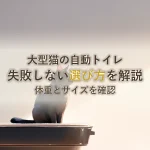 大型猫の自動トイレ失敗しない選び方を解説体重とサイズを確認