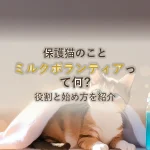 保護猫のことミルクボランティアって何?役割と始め方を紹介