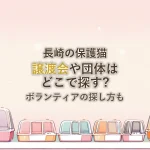 長崎の保護猫譲渡会や団体はどこで探す?ボランティアの探し方も