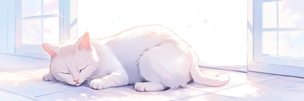 まとめのイメージ