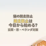 猫の脱走防止脱走防止は今日から始める?玄関・窓・ベランダ対策