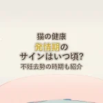 猫の健康発情期のサインはいつ頃?不妊去勢の時期も紹介