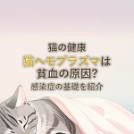猫の健康猫ヘモプラズマは貧血の原因?感染症の基礎を紹介