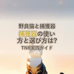 野良猫と捕獲器捕獲器の使い方と選び方は?TNR実践ガイド