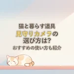 猫と暮らす道具見守りカメラの選び方は?おすすめの使い方も紹介