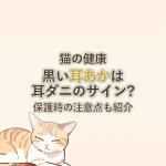 猫の健康黒い耳あかは耳ダニのサイン?保護時の注意点も紹介