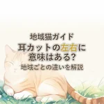 地域猫ガイド耳カットの左右に意味はある?地域ごとの違いを解説