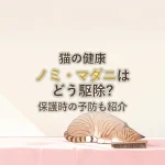猫の健康ノミ・マダニはどう駆除?保護時の予防も紹介