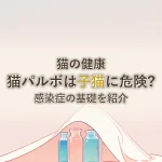 猫の健康猫パルボは子猫に危険?感染症の基礎を紹介