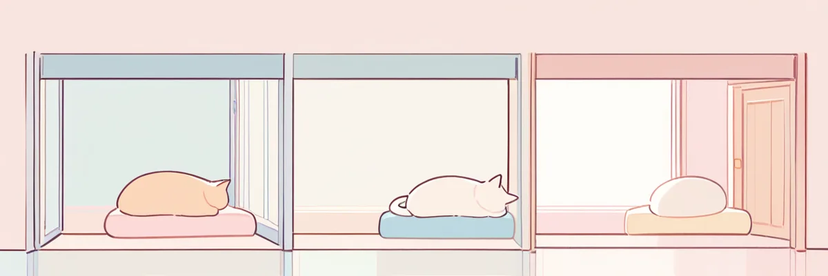 どうやってうつるのかのイメージ
