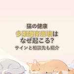 猫の健康多頭飼育崩壊はなぜ起こる?サインと相談先も紹介