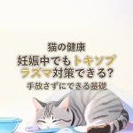 猫の健康妊娠中でもトキソプラズマ対策できる?手放さずにできる基礎