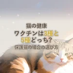 猫の健康ワクチンは3種と5種どっち?保護猫の場合の選び方