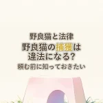 野良猫と法律野良猫の捕獲は違法になる?頼む前に知っておきたい
