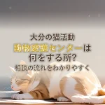 大分の猫活動動物愛護センターは何をする所?相談の流れをわかりやすく