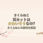 さくらねこ耳カットはかわいそうなの?さくらねこの意味を解説
