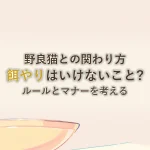 野良猫との関わり方餌やりはいけないこと?ルールとマナーを考える