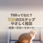 TNRってなに？TNRの3ステップやさしく解説捕獲→手術→リターン